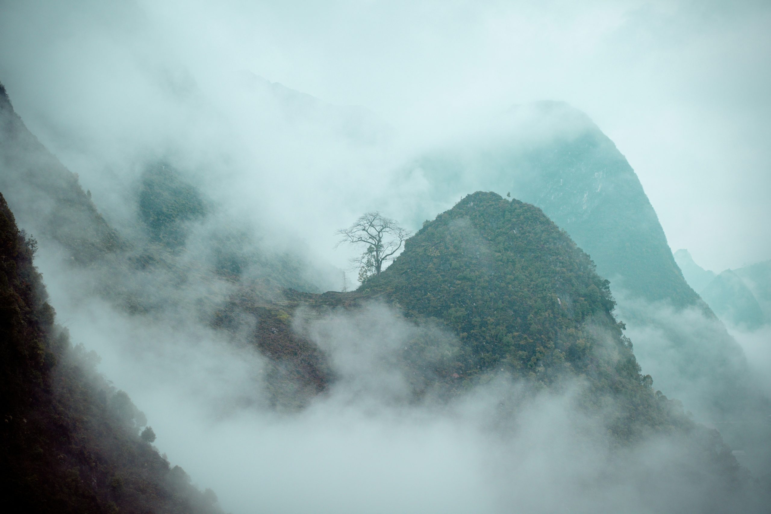 Voyage entre femmes au Vietnam : montagnes et vallées enveloppées de brume et de nuages dans le nord du pays – Salma Travel