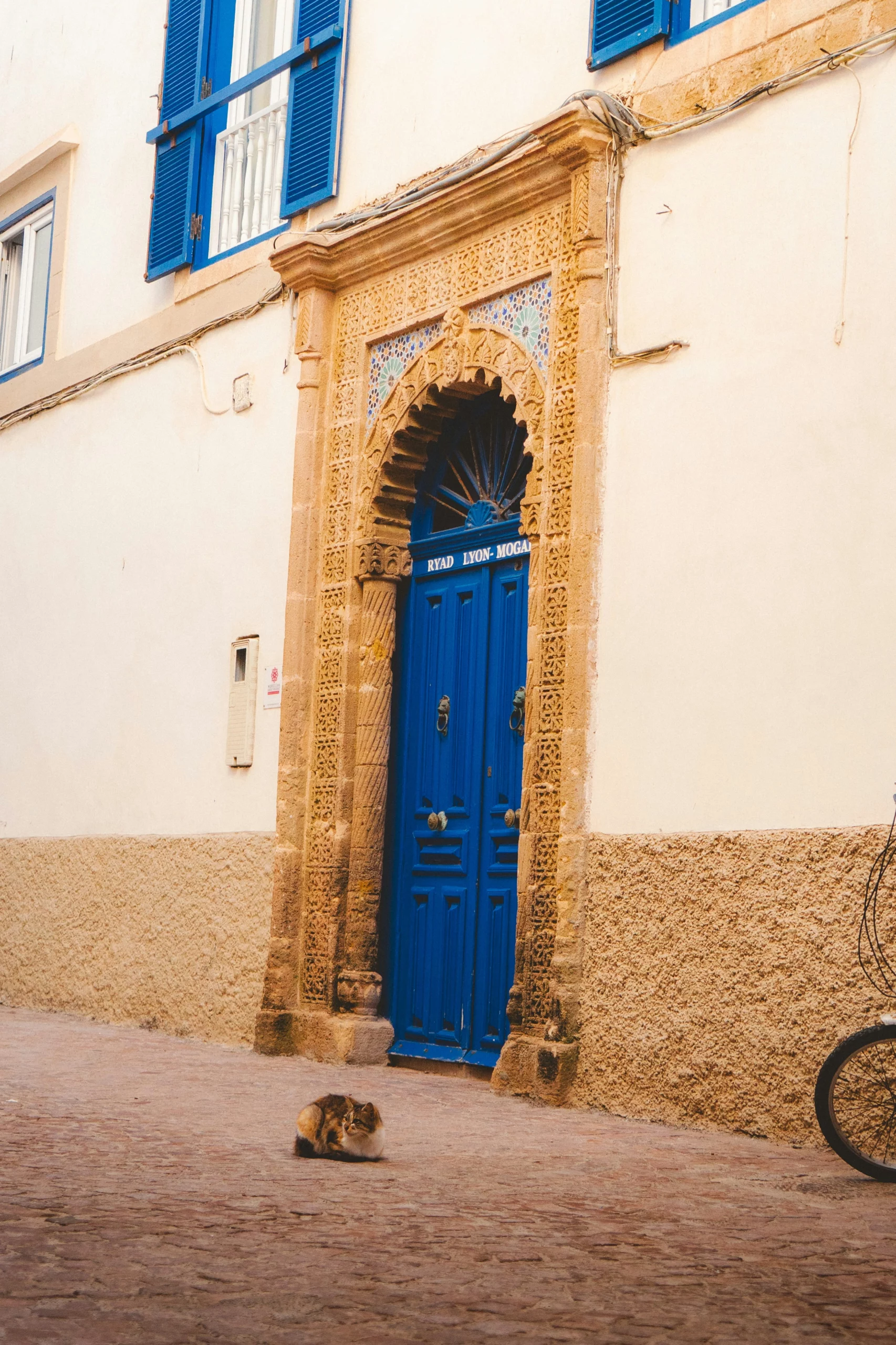 Voyage entre femmes au Maroc : façade traditionnelle avec porte bleue et chat allongé – Salma Travel