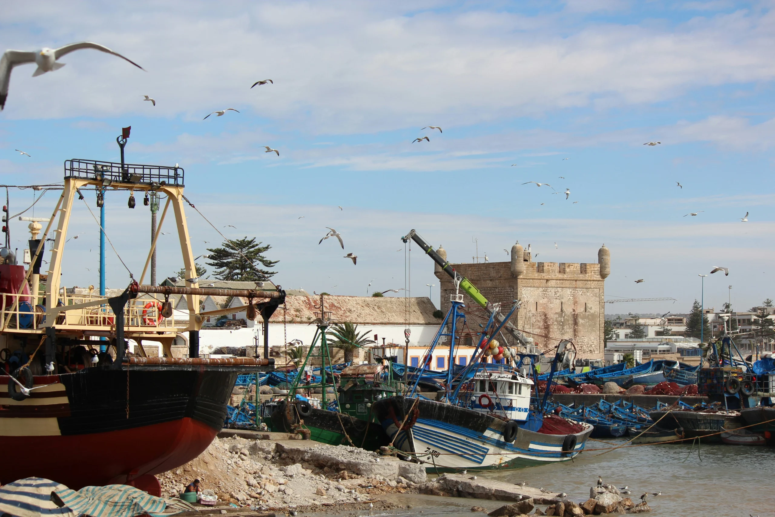 Voyage entre femmes au Maroc : port de pêche marocain avec bateaux de pêche colorés et mouettes – Salma Travel